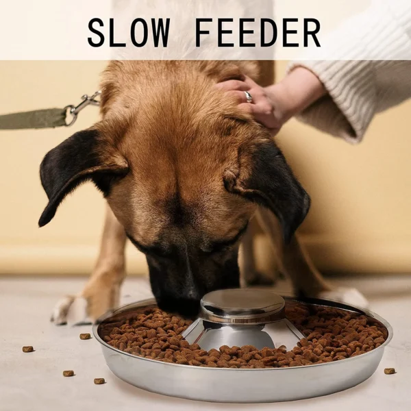 Puppy Bowls, Stainless Steel Puppy Feeder Bowl, Dog Food and Water - Image 4